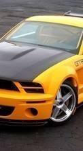 Scaricare immagine 540x960 Transport, Auto, Mustang sul telefono gratis.