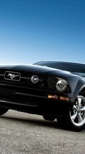 Scaricare immagine Auto,Mustang,Transport sul telefono gratis.