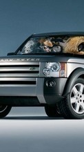 Scaricare immagine Auto, Range Rover, Transport sul telefono gratis.