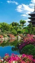 Scaricare immagine 240x320 Plants, Landscape, Flowers, Rivers, Sky, Asia sul telefono gratis.