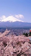 Scaricare immagine Asia,Mountains,Landscape,Sakura sul telefono gratis.