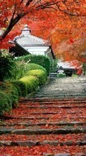 Scaricare immagine Asia,Leaves,Autumn,Landscape sul telefono gratis.