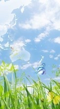 Scaricare immagine Landscape, Butterflies, Grass, Sky sul telefono gratis.