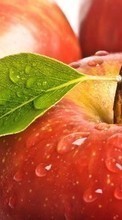 Scaricare immagine Apples, Food, Background, Fruits, Drops sul telefono gratis.