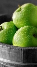 Scaricare immagine Apples, Food, Fruits sul telefono gratis.