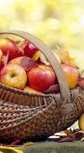 Scaricare immagine Fruits, Food, Apples sul telefono gratis.