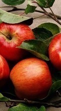 Scaricare immagine 320x480 Fruits, Food, Apples sul telefono gratis.