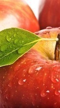 Scaricare immagine Apples, Food, Fruits, Drops sul telefono gratis.