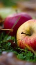 Scaricare immagine Apples, Food, Fruits, Leaves, Autumn, Plants sul telefono gratis.