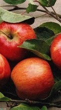 Scaricare immagine 240x400 Plants, Fruits, Food, Apples sul telefono gratis.
