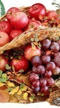 Scaricare immagine Apples,Food,Fruits,Grapes sul telefono gratis.