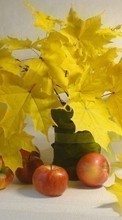 Scaricare immagine Apples, Food, Leaves, Still life, Objects sul telefono gratis.
