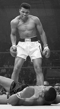 Scaricare immagine Boxing, People, Men, Sports, Muhammad Ali sul telefono gratis.