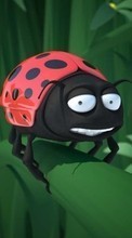 Scaricare immagine Humor, Insects, Ladybugs sul telefono gratis.