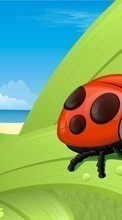 Scaricare immagine 360x640 Humor, Ladybugs, Drawings sul telefono gratis.