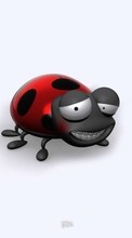 Scaricare immagine Humor, Ladybugs sul telefono gratis.