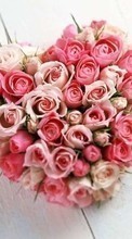 Scaricare immagine Bouquets, Flowers, Valentine&#039;s day, Holidays, Plants, Roses, Hearts sul telefono gratis.