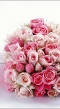Scaricare immagine Bouquets, Flowers, Background, Plants sul telefono gratis.