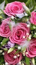 Scaricare immagine Bouquets, Flowers, Background, Plants, Roses sul telefono gratis.