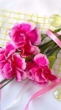 Scaricare immagine Bouquets, Flowers, Carnations, Plants sul telefono gratis.