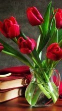 Scaricare immagine Bouquets, Flowers, Books, Still life, Objects, Plants, Tulips sul telefono gratis.
