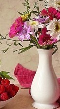 Scaricare immagine Bouquets, Flowers, Still life, Plants sul telefono gratis.