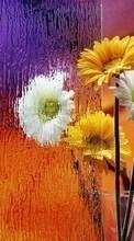 Bouquets, Flowers, Objects, Plants per HTC Desire