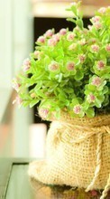 Bouquets, Flowers, Objects, Plants