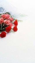 Scaricare immagine Bouquets, Flowers, Objects, Plants sul telefono gratis.
