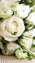 Bouquets, Flowers, Objects, Plants, Roses per LG Optimus 4X HD P880