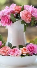 Scaricare immagine Bouquets, Flowers, Objects, Plants, Roses sul telefono gratis.