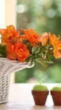 Scaricare immagine Bouquets, Flowers, Objects, Plants, Candles sul telefono gratis.
