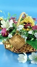Scaricare immagine Bouquets, Flowers, Holidays, Plants sul telefono gratis.