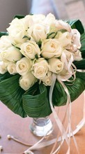 Scaricare immagine Bouquets, Flowers, Holidays, Plants, Roses, Wedding sul telefono gratis.