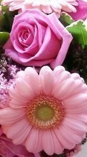 Scaricare immagine Bouquets, Flowers, Plants sul telefono gratis.