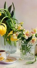 Bouquets,Flowers,Plants per Sony Ericsson Xperia X8