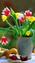 Scaricare immagine Bouquets,Flowers,Plants sul telefono gratis.