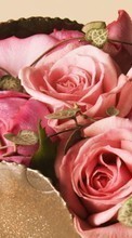 Bouquets,Flowers,Plants,Roses per Samsung E200