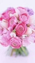 Scaricare immagine Bouquets,Flowers,Plants,Roses sul telefono gratis.