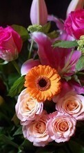 Scaricare immagine Bouquets,Flowers,Animals sul telefono gratis.