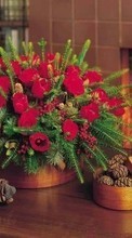 Scaricare immagine Bouquets,Plants sul telefono gratis.
