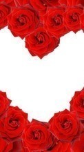 Scaricare immagine Flowers, Valentine&#039;s day, Background, Holidays, Roses, Hearts sul telefono gratis.