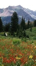 Scaricare immagine Flowers, Trees, Mountains, Landscape sul telefono gratis.