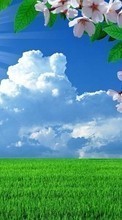 Scaricare immagine Flowers, Trees, Clouds, Landscape, Fields sul telefono gratis.