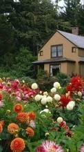 Scaricare immagine Plants, Landscape, Flowers, Houses sul telefono gratis.