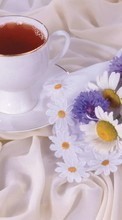 Scaricare immagine Flowers, Food, Drinks, Objects, Camomile sul telefono gratis.