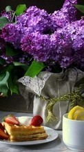 Scaricare immagine Flowers,Food,Objects,Plants sul telefono gratis.