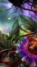 Scaricare immagine 320x240 Plants, Flowers, Fantasy sul telefono gratis.