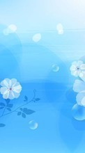 Flowers, Background per Asus ZenFone Go ‏ZB452KG