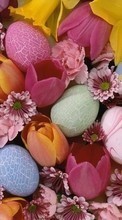Scaricare immagine Plants, Flowers, Backgrounds, Eggs, Easter sul telefono gratis.